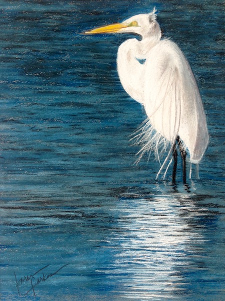 Pastel-24-Egret